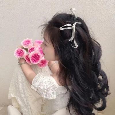 没人瞭波斯猫
